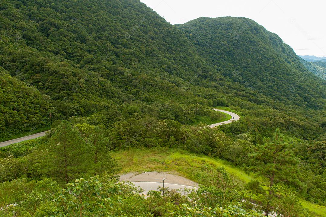 Paisagens de montanhas verdes