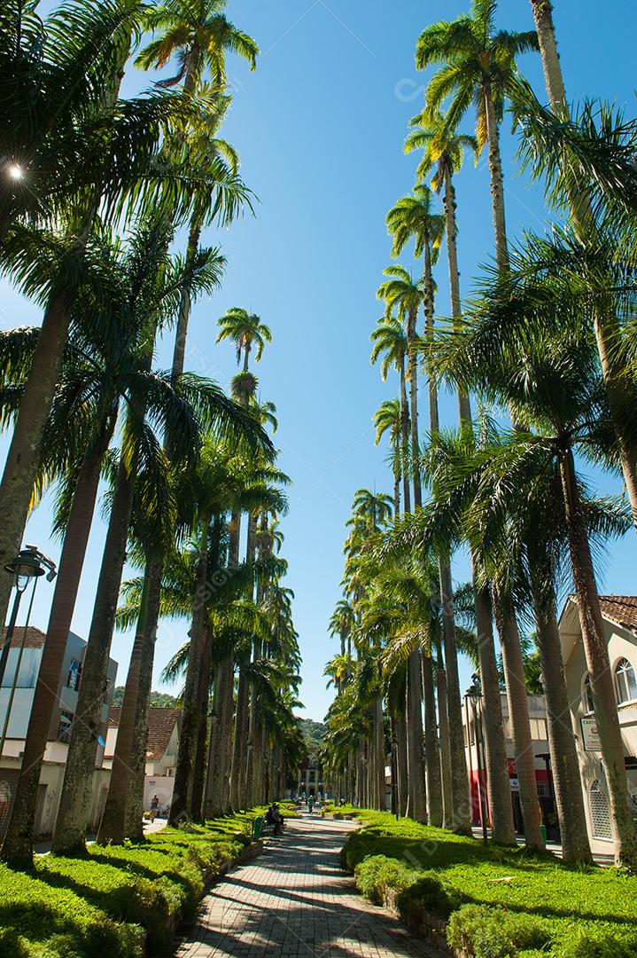 Imagens de Joinville Santa Catarina