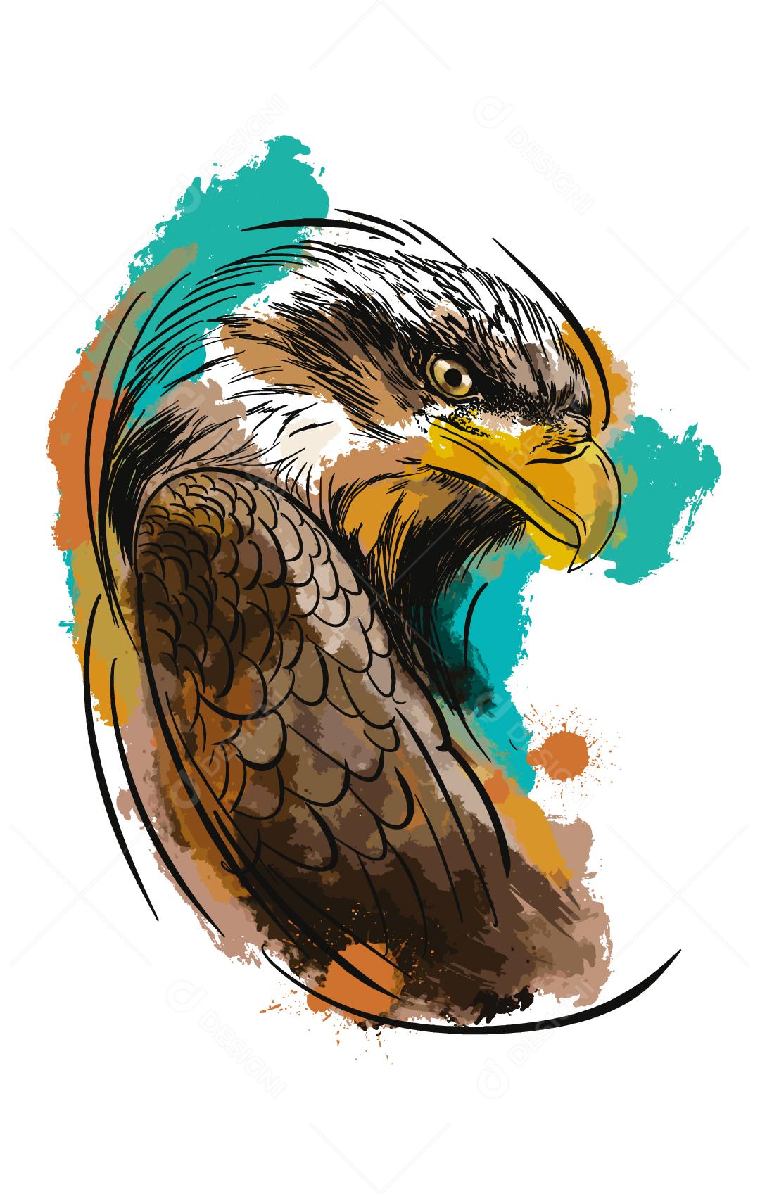 Águia Pintada Colorida Em Aquarela e Esboço  Vetor EPS