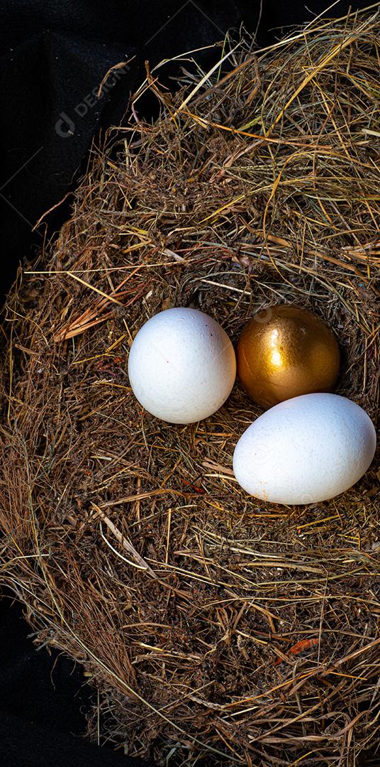 Ovos de ouro e ovos brancos em um ninho de pássaro, visto de cima