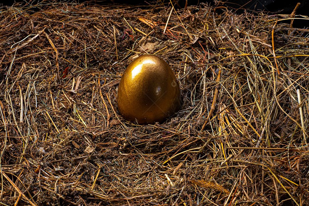 Ovos de ouro e ovos brancos em um ninho de pássaro, visto de cima