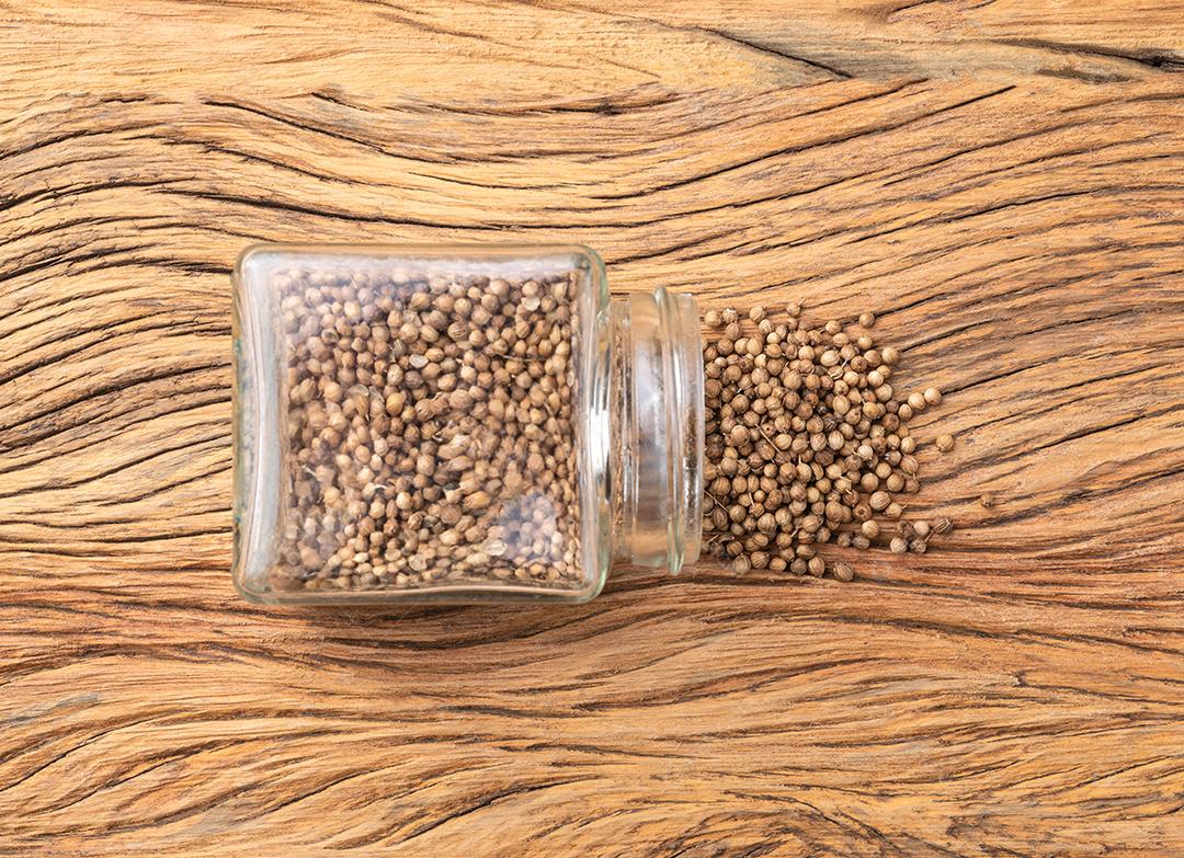 Sementes de coentro em uma panela de vidro sobre a mesa de madeira.