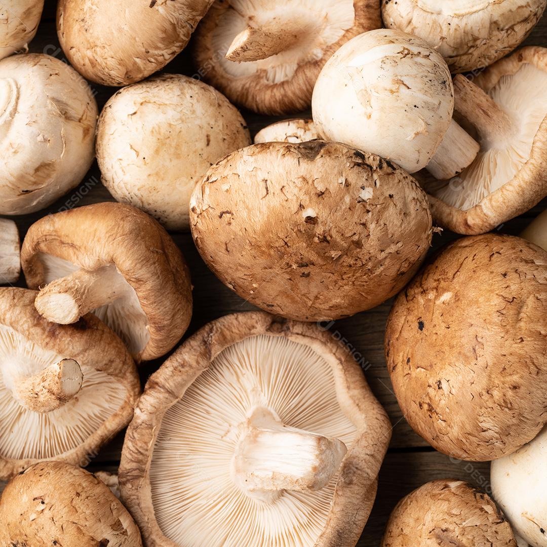 Cogumelos shitake, portobello e paris sobre mesa de madeira