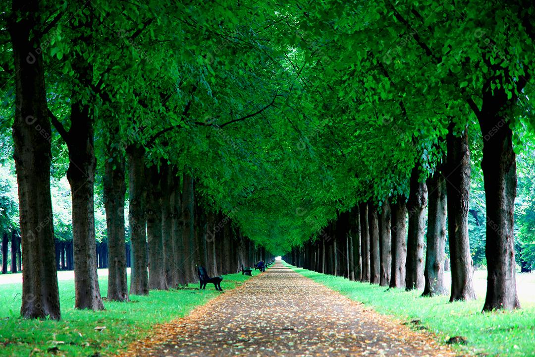 George Gardens (Herrenhauser Allee) em Hannover, Alemanha