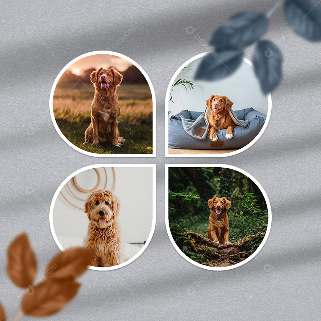 Mockup de Fotos em Papel PSD Editável