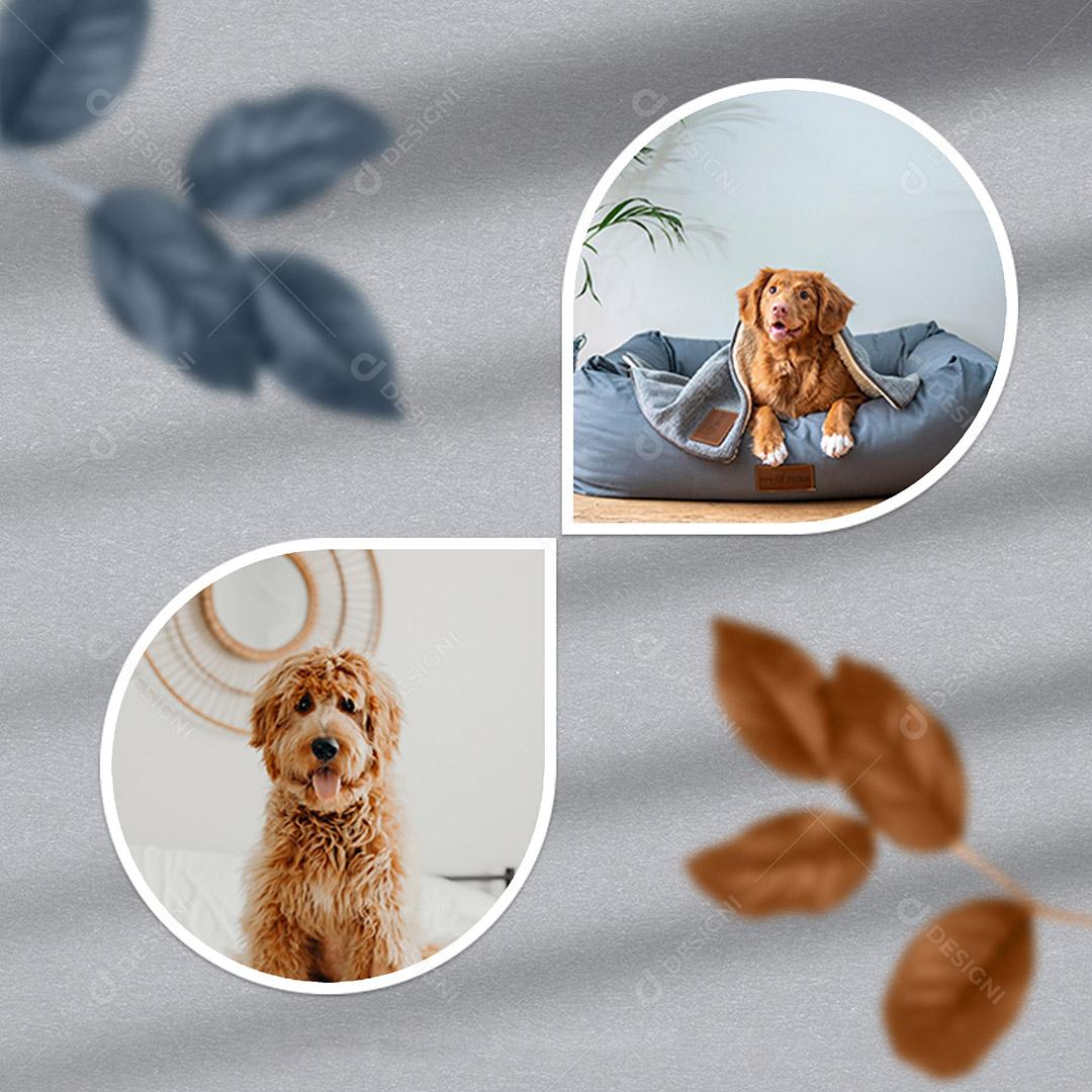 Mockup de Fotos em Papel PSD Editável