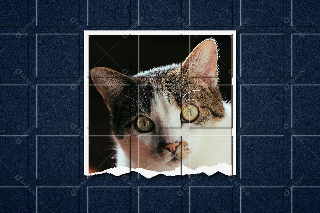 Mockup de Fotos em Papel PSD Editável