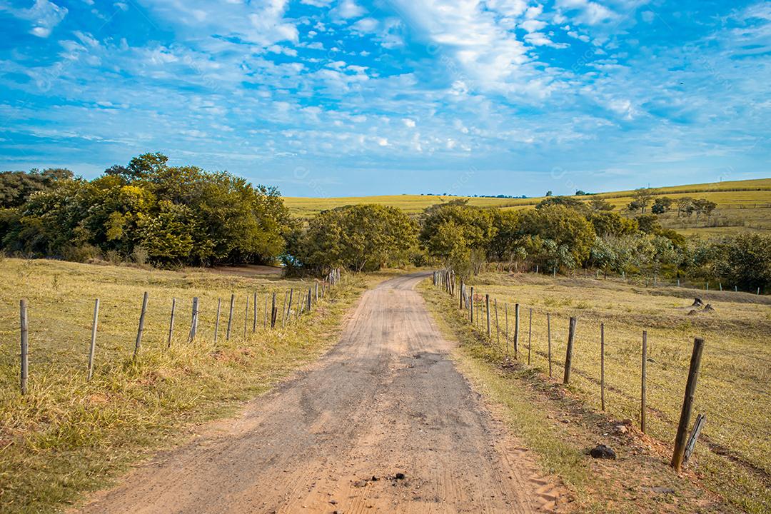 paisagem rural em estrada do interior paulista no verão
