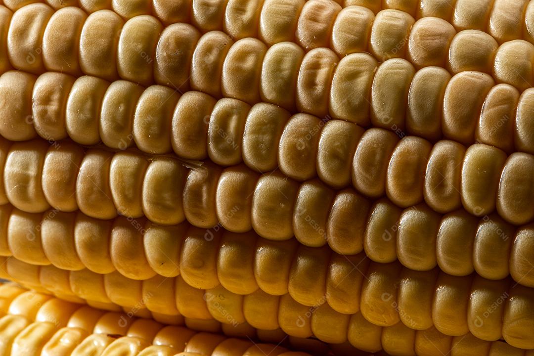 Espiga de milho em fundo de madeira rústica.