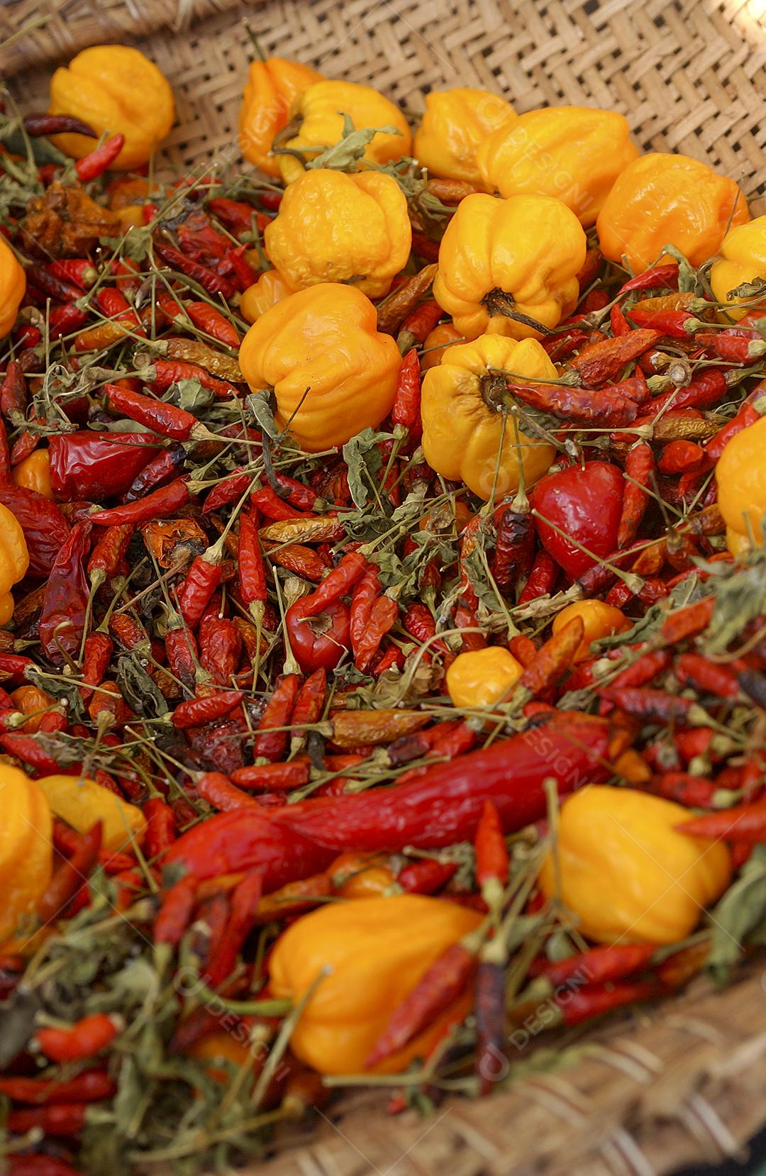 Pimentas orgânicas à venda em uma feira popular no Brasil.