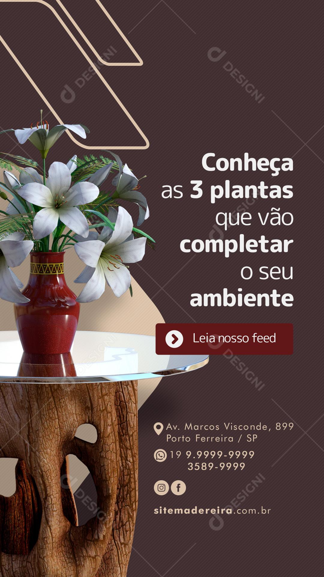 Story Conheça as 3 Plantas que vão Completar Móveis Planejados Social Media PSD Editável