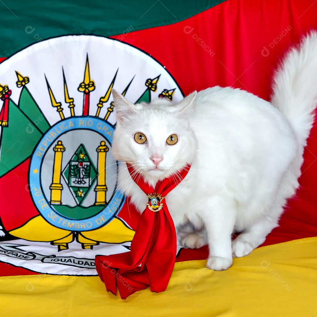 Gato amarelo gaúcho com a bandeira do estado do Rio Grande do Sul