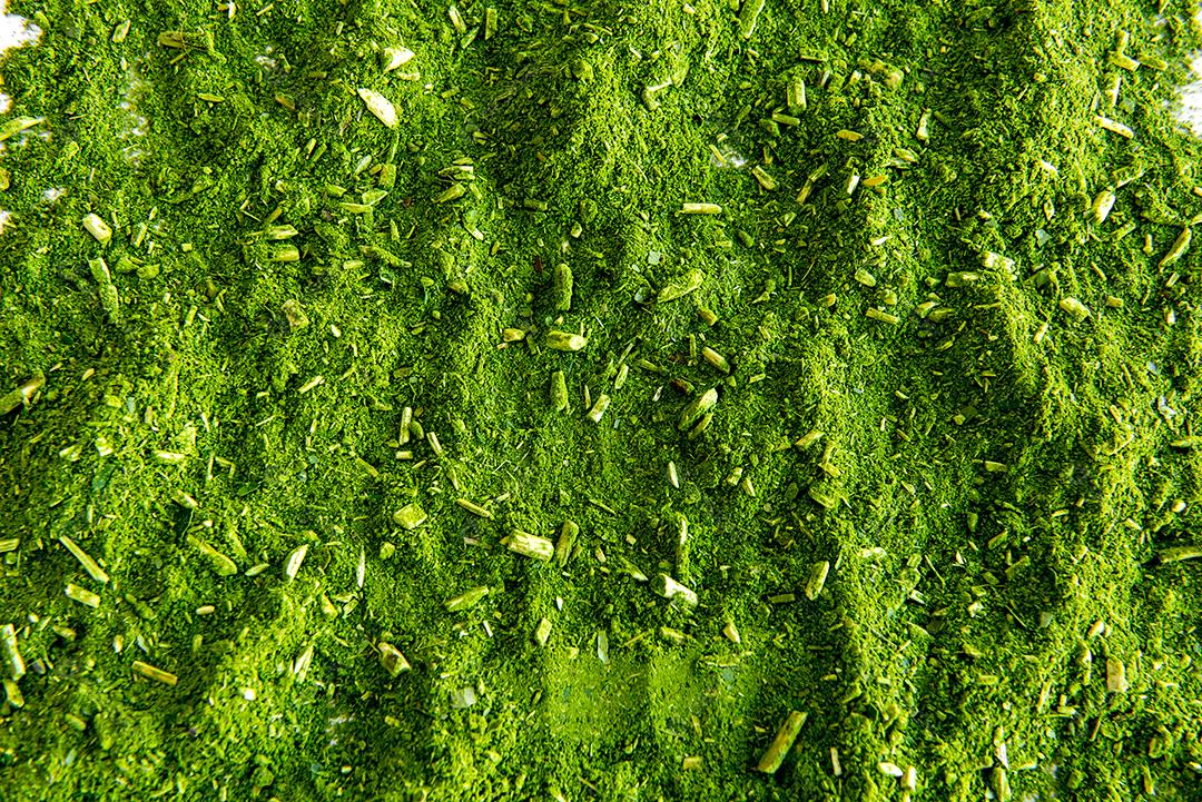 Fundo de textura de erva-mate (Ilex paraguariensis).