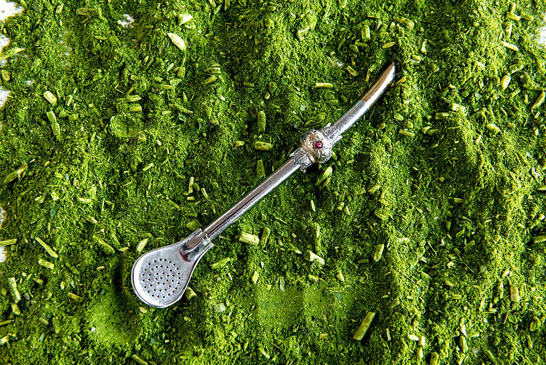 Fundo de textura de erva-mate (Ilex paraguariensis).