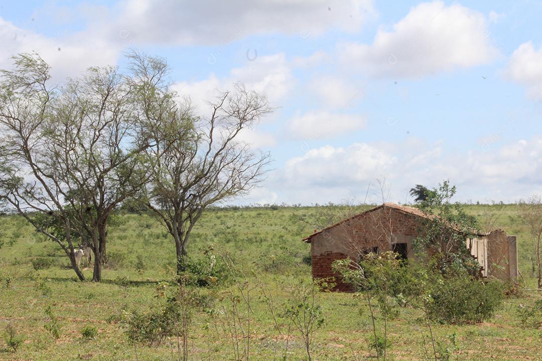 Casa velha sobre uma fazenda terreno sitio