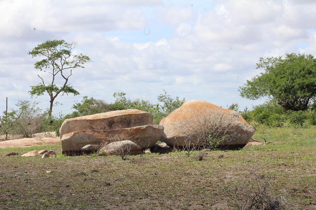 Rocha sobre floresta pedreira sobre dia ensolarado fazenda