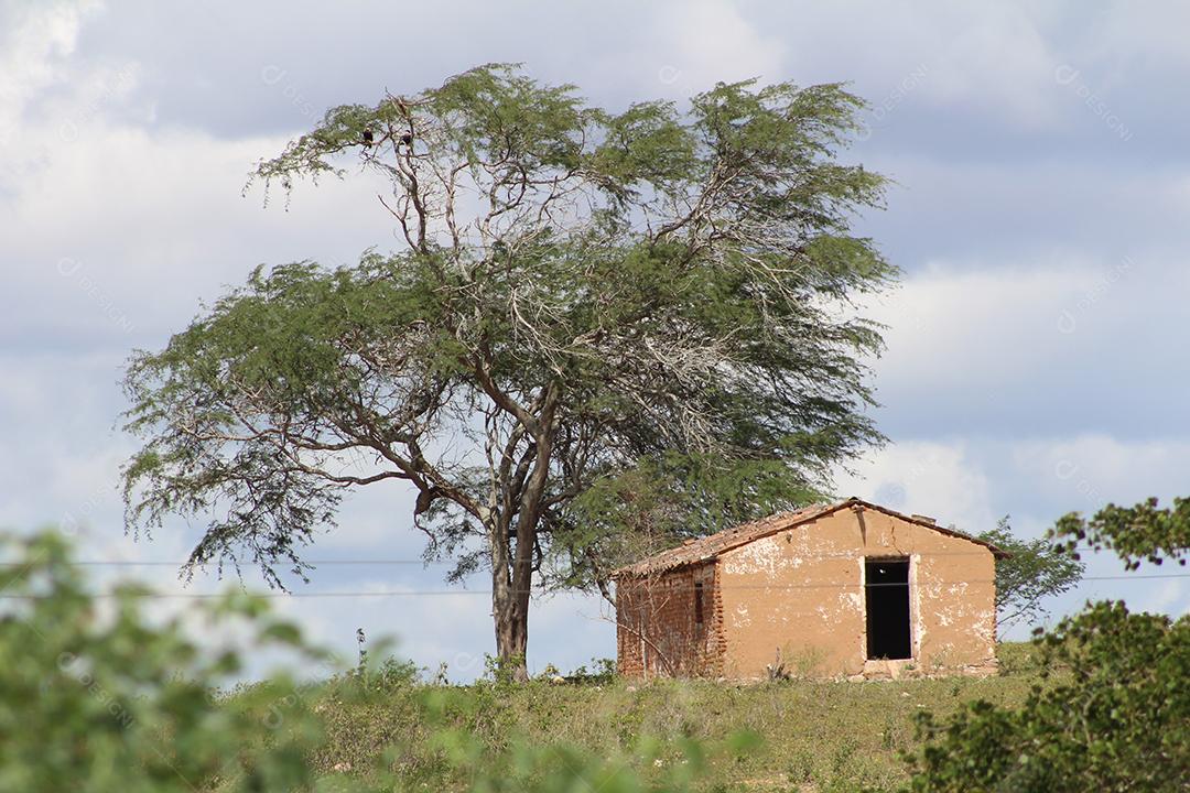 Casa velha sobre uma fazenda terreno sitio