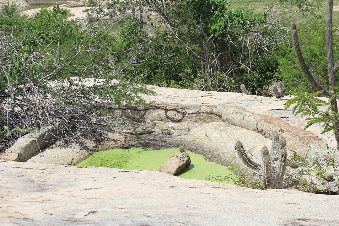 Rocha sobre floresta pedreira sobre dia ensolarado fazenda