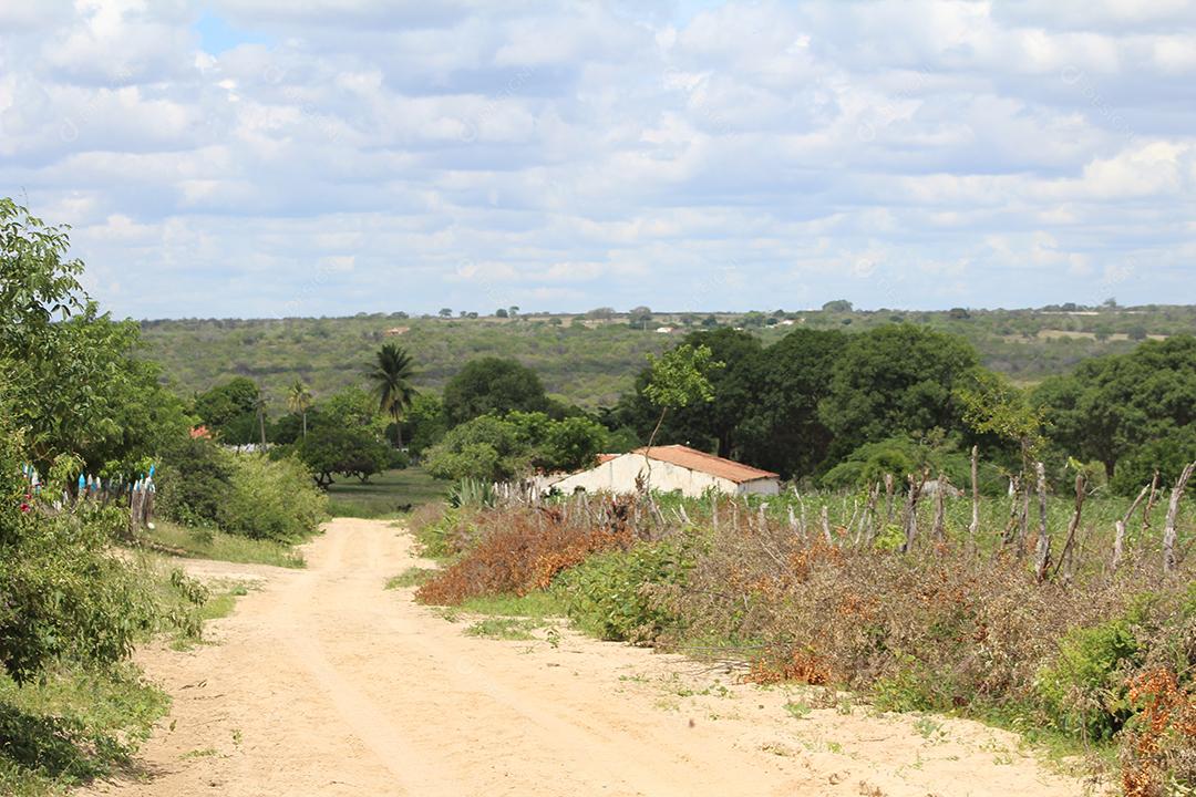 Floresta mata fechada sobre dia ensolarado céu nublado