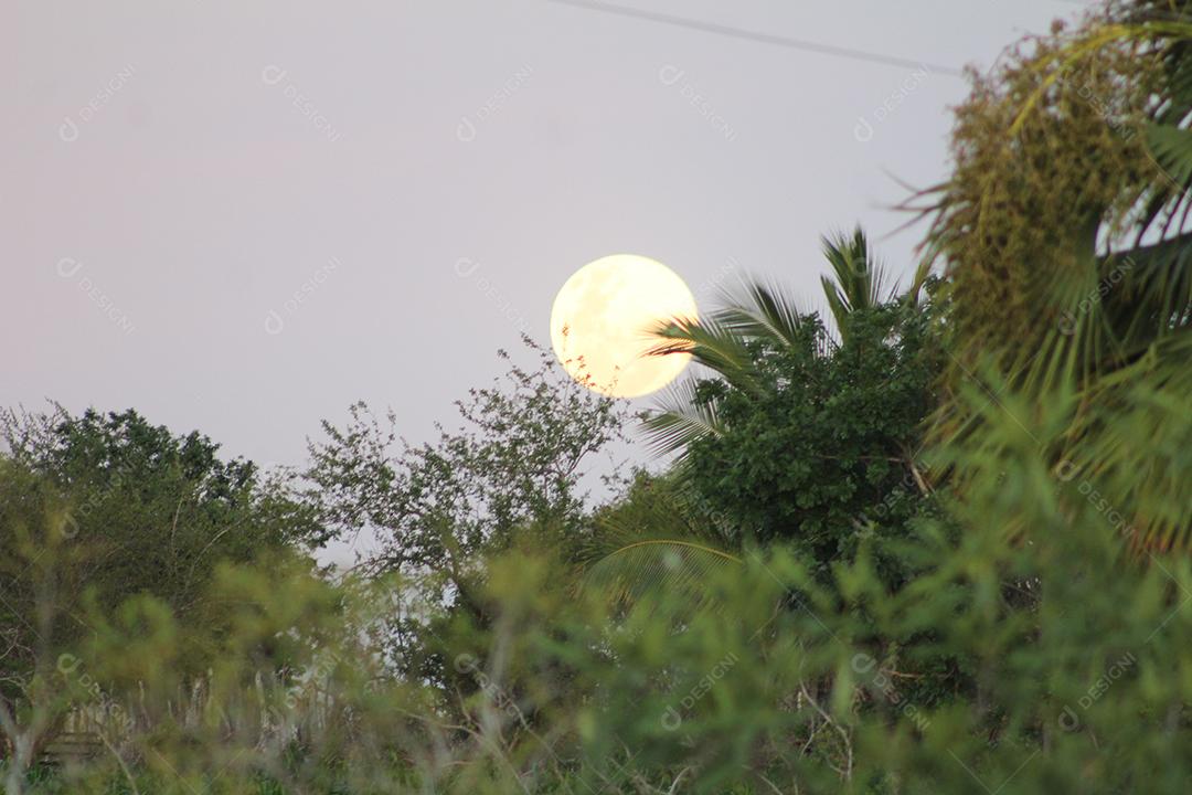 Lua céu nuvens astronomia