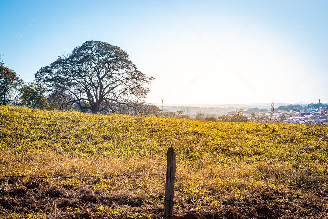 paisagem rural, de estrada de terra com arvores e ceu azul