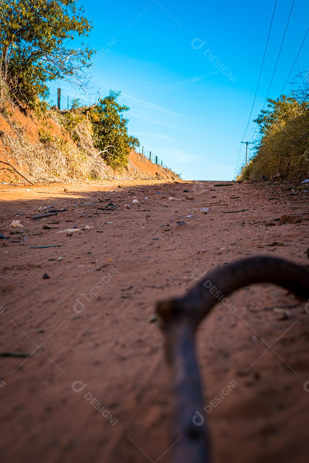 paisagem rural, de estrada de terra com arvores e ceu azul
