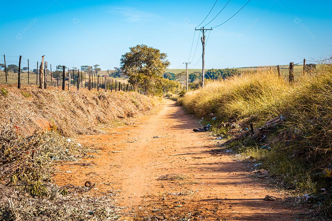 paisagem rural, de estrada de terra com arvores e ceu azul