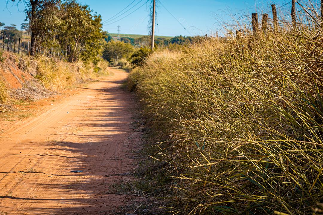 paisagem rural, de estrada de terra com arvores e ceu azul