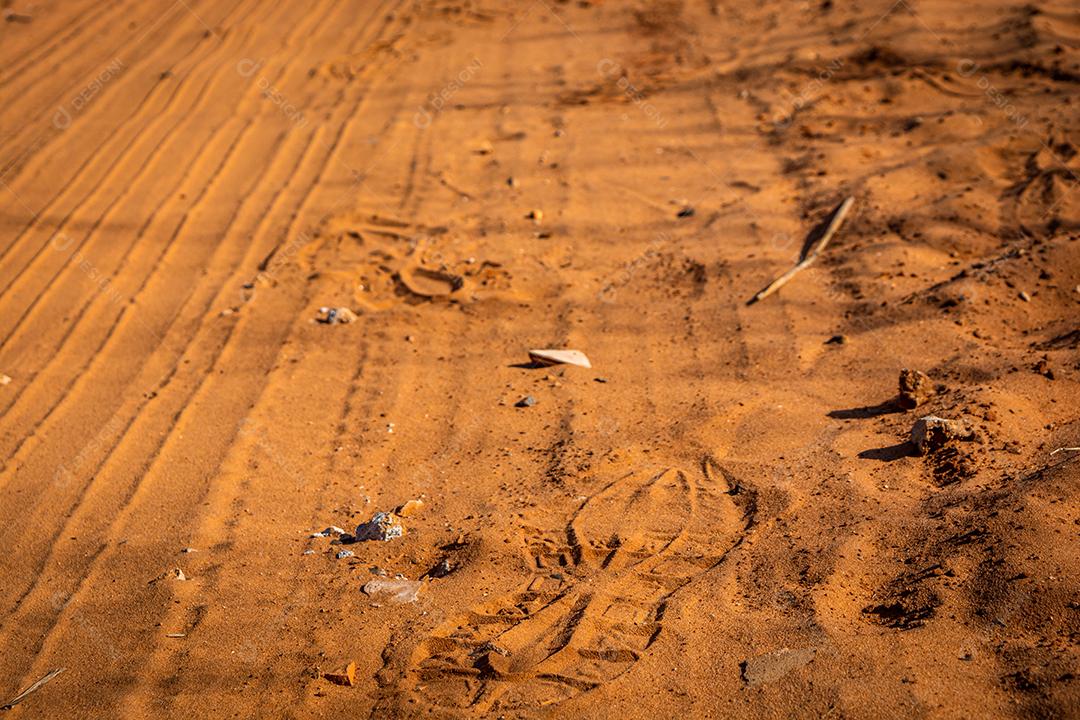 ruas areia estrada terra fazenda arvores ceu azul fotos imagem