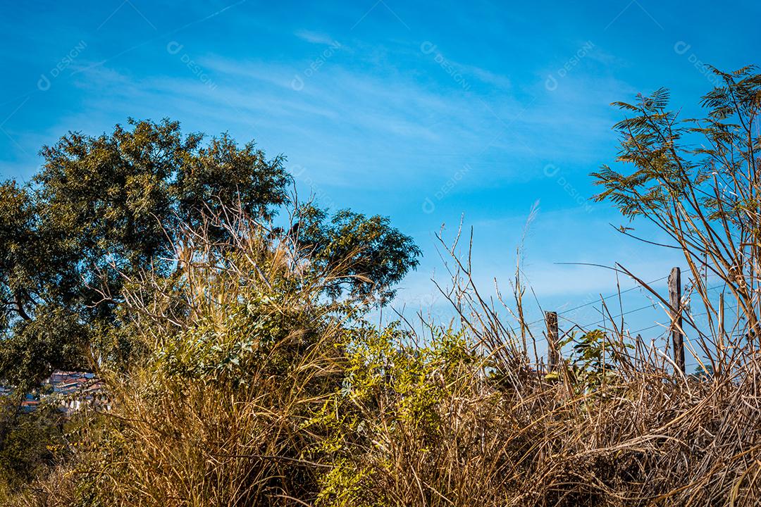 paisagem rural, de estrada de terra com arvores e ceu azul