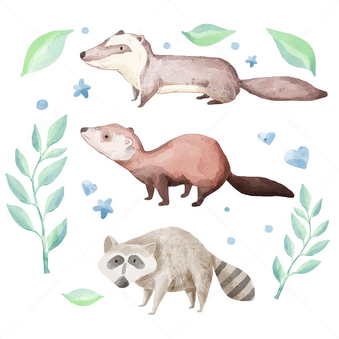 Este conjunto de animais em aquarela é composto por 3 espécies de animais, guaxinim, lontra, civeta de palmeira.