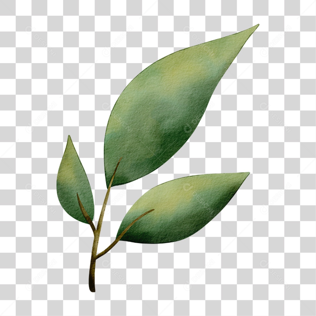 Galho com Folhas PNG Transparente
