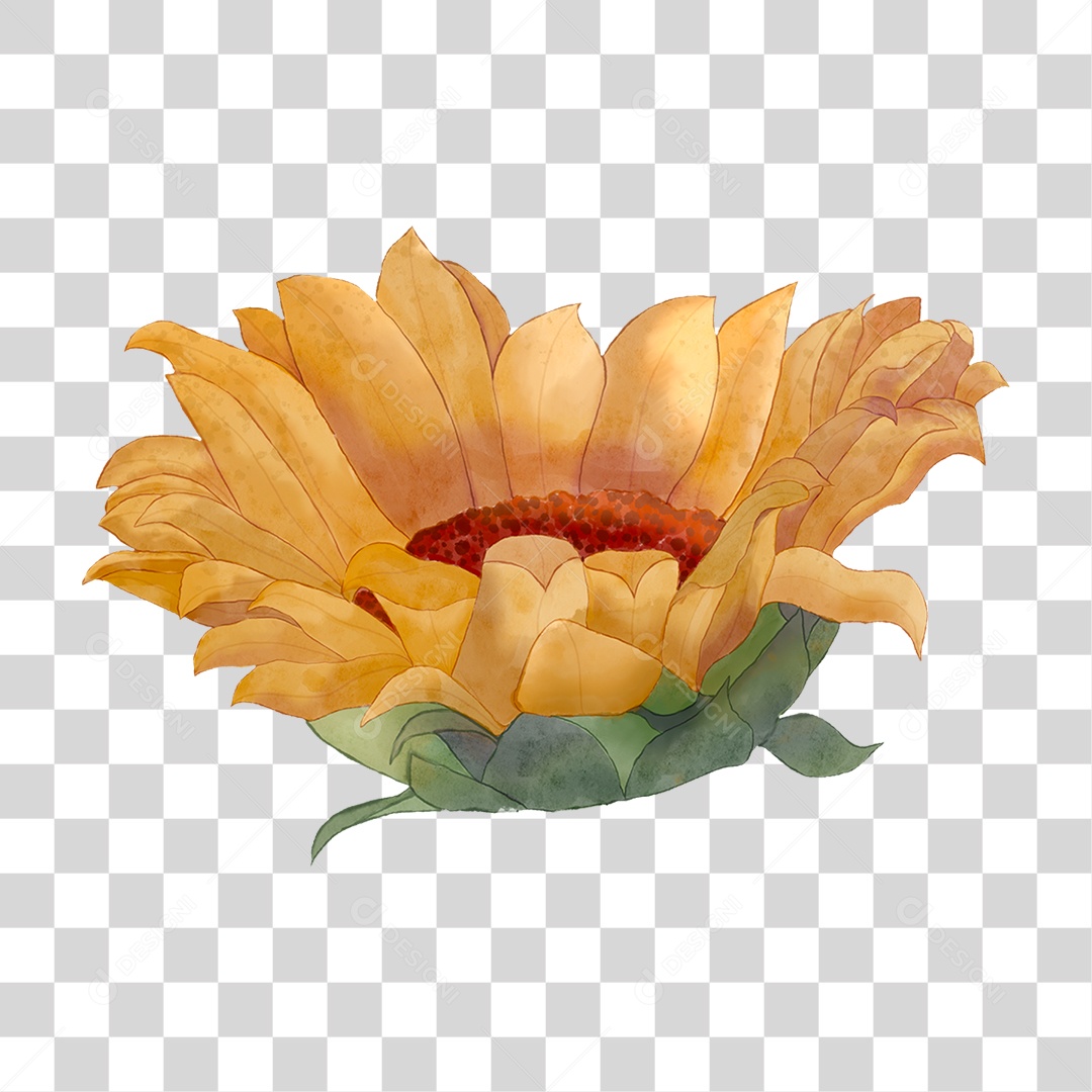 Flor de Girassol PNG Transparente