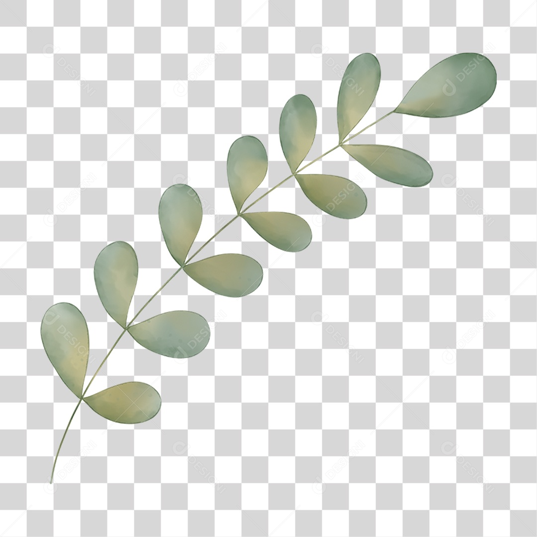 Galho com Folhas PNG Transparente