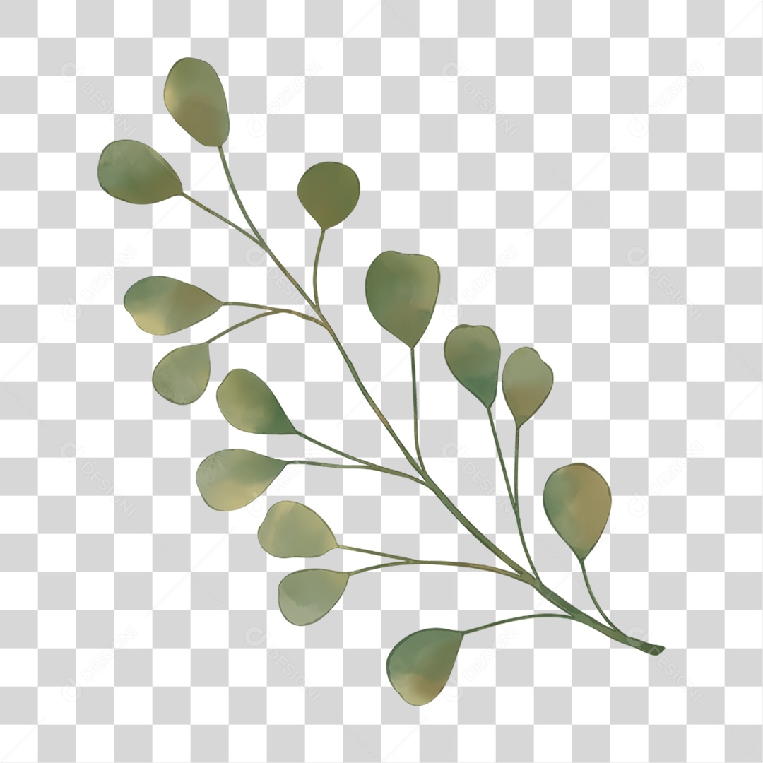 Galho com Folhas PNG Transparente