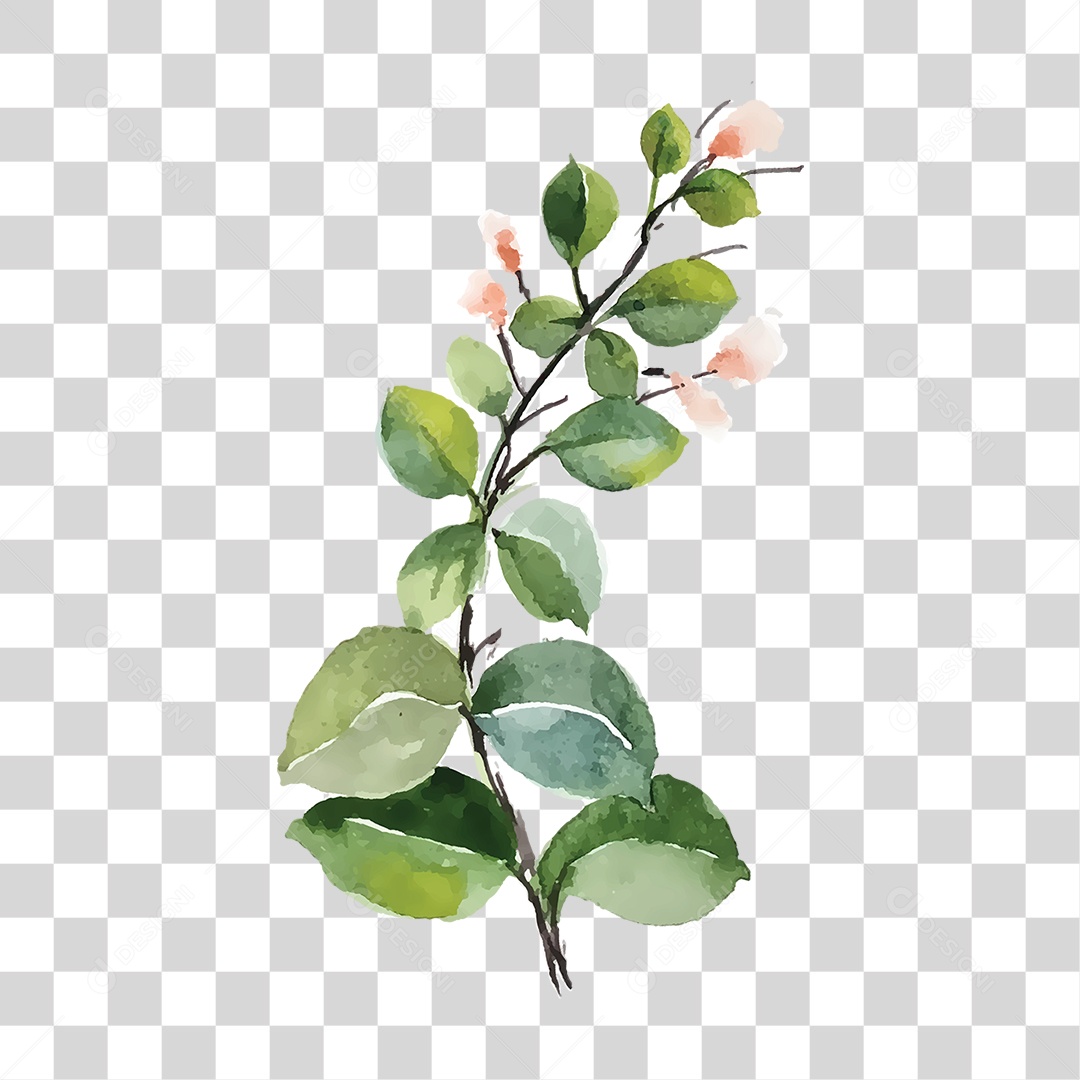 Flores Rosas PNG Transparente