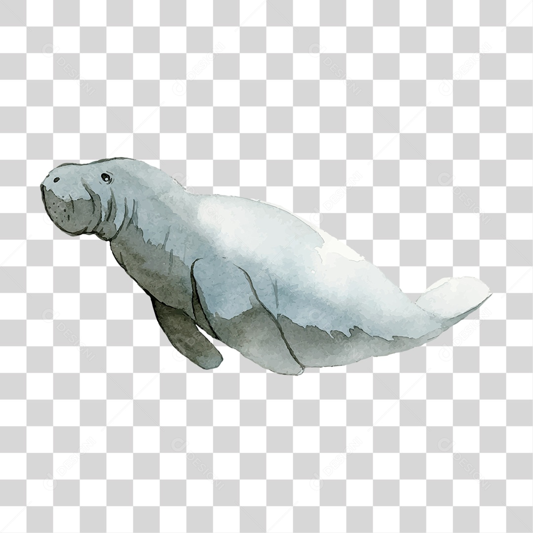 Foca de Tinta PNG Transparente