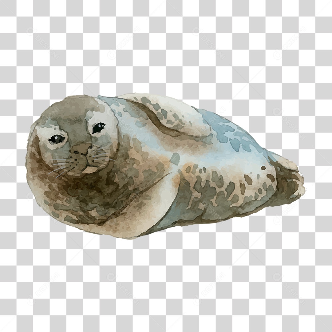 Foca de Tinta PNG Transparente