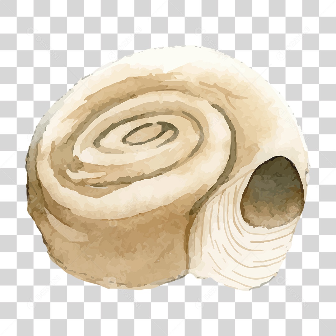 Casca de Caracol de Tinta PNG Transparente