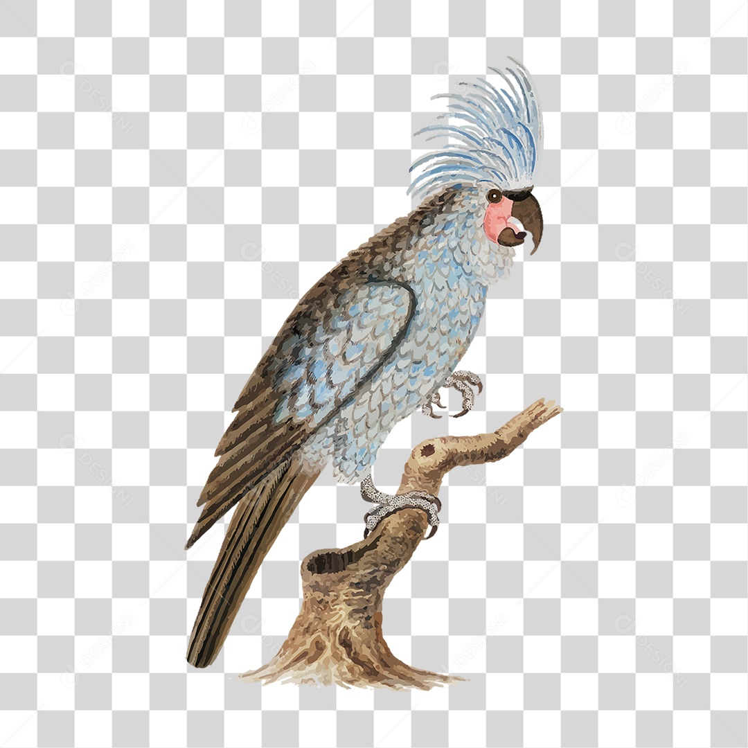 Pássaro de Tinta PNG Transparente