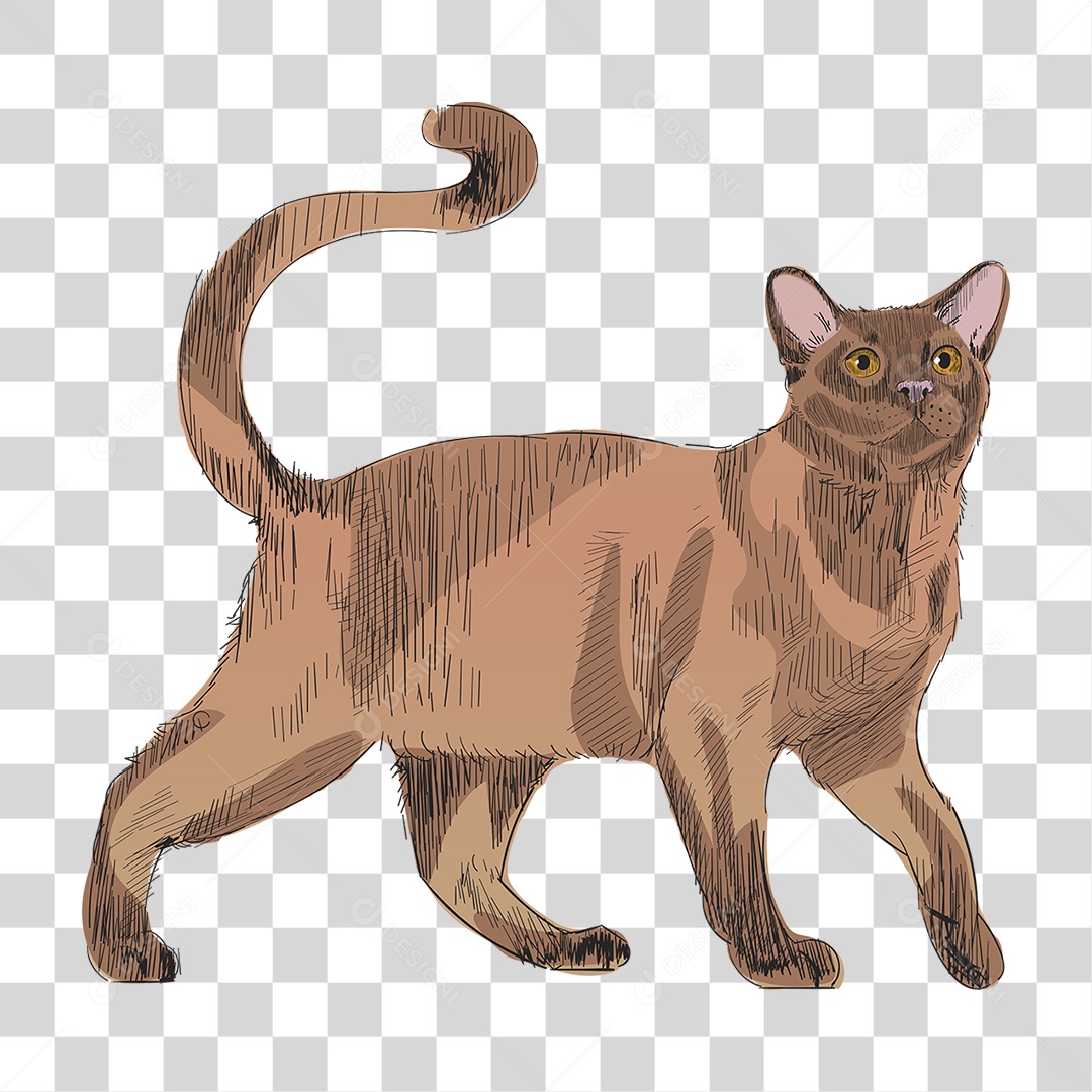 Desenho de Gato Pintura PNG Transparente