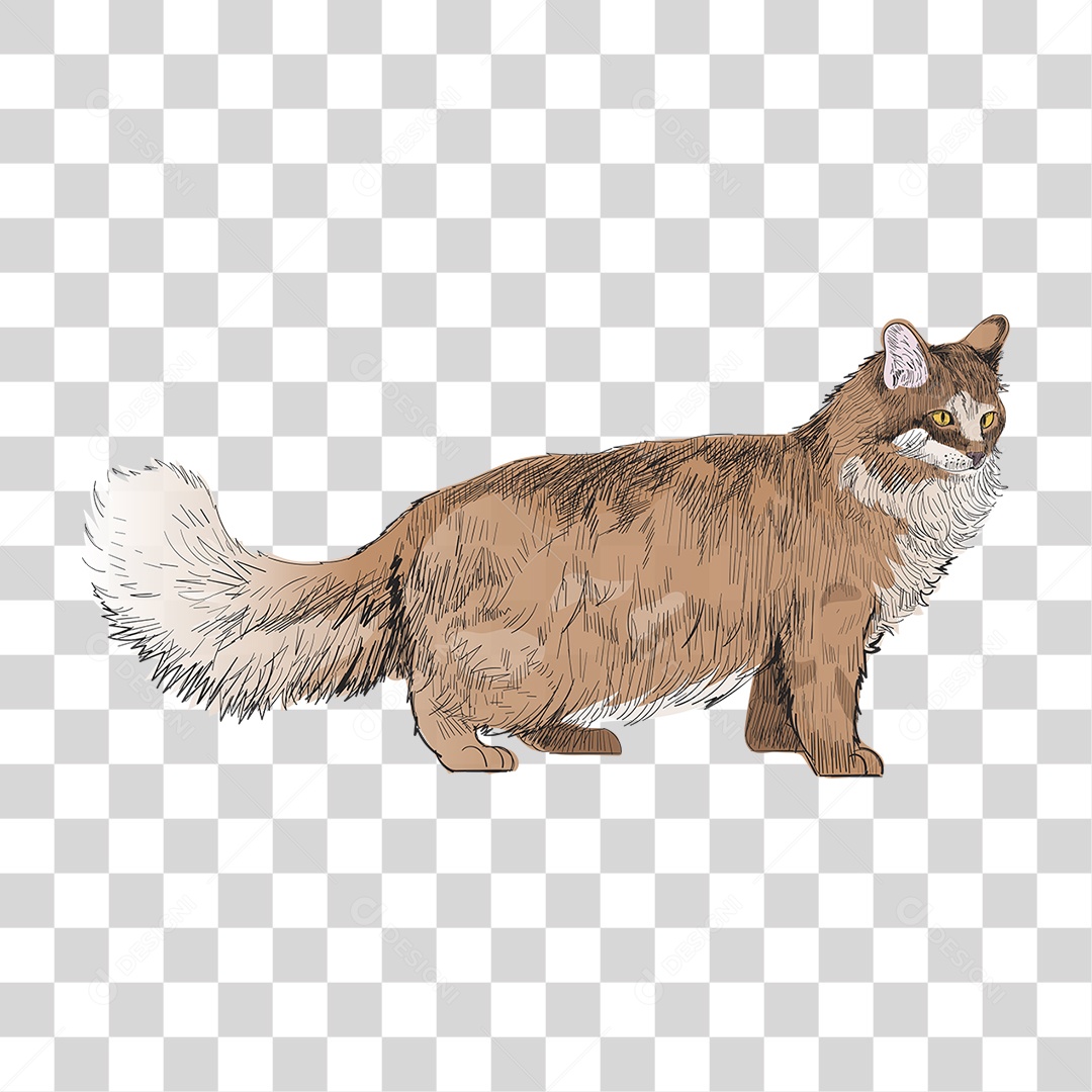 Desenho de Gato Pintura PNG Transparente