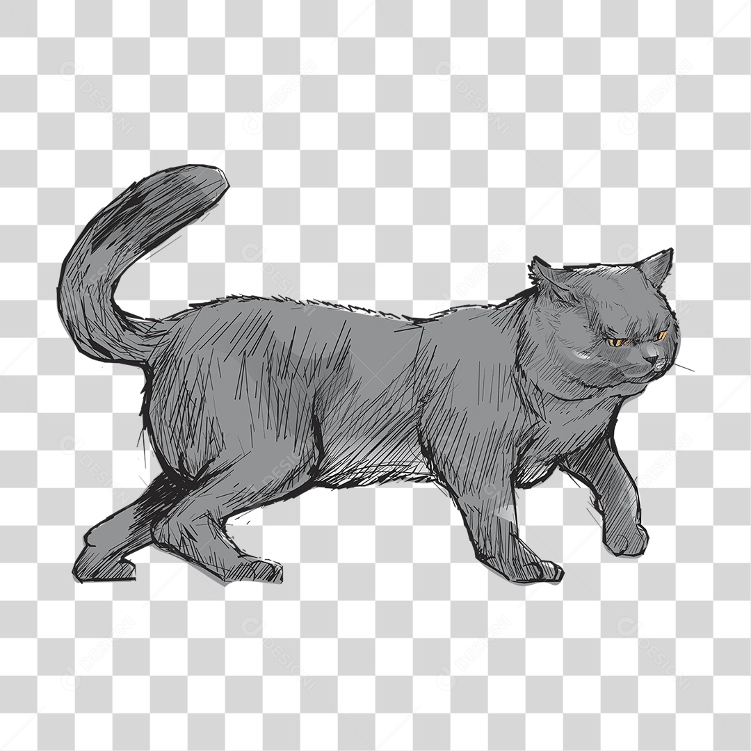 Desenho de Gato Pintura PNG Transparente