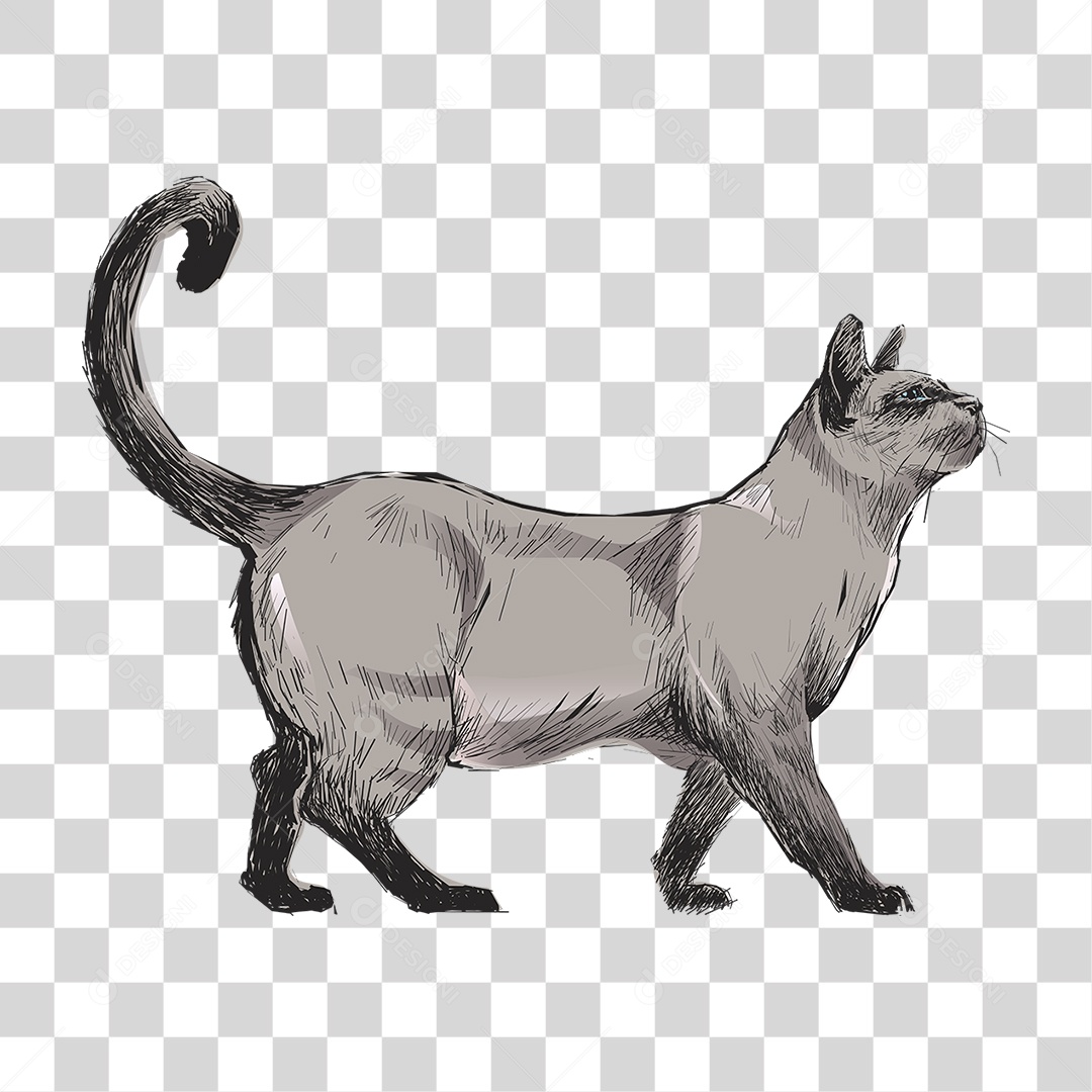 Desenho de Gato Pintura PNG Transparente