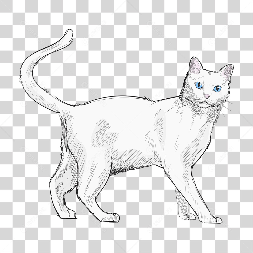 Desenho de Gato Pintura PNG Transparente