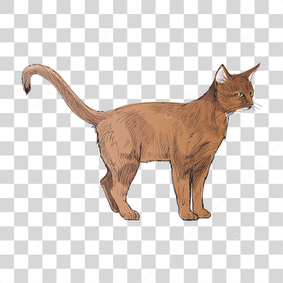 Desenho de Gato Pintura PNG Transparente