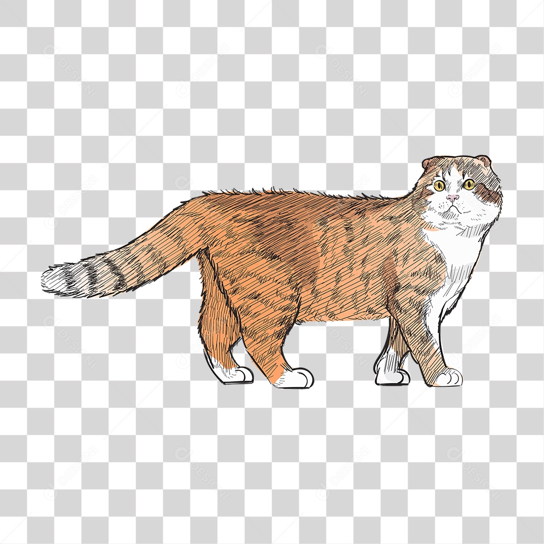 Desenho de Gato Pintura PNG Transparente