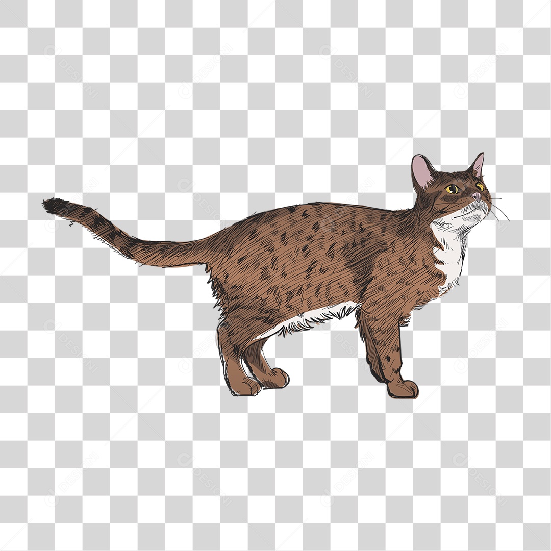 Desenho de Gato Pintura PNG Transparente