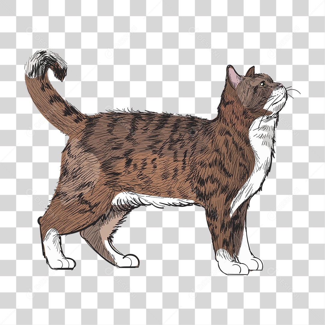 Desenho de Gato Pintura PNG Transparente