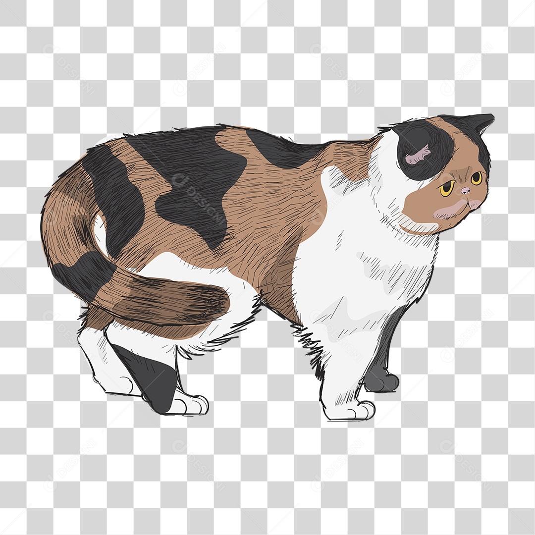 Desenho de Gato Pintura PNG Transparente